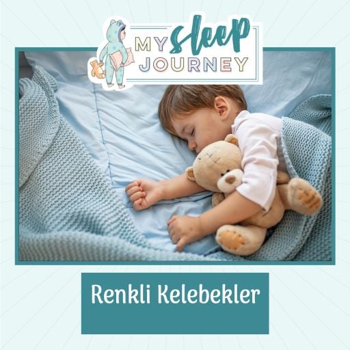 Renkli Kelebekler (25-48 ay)